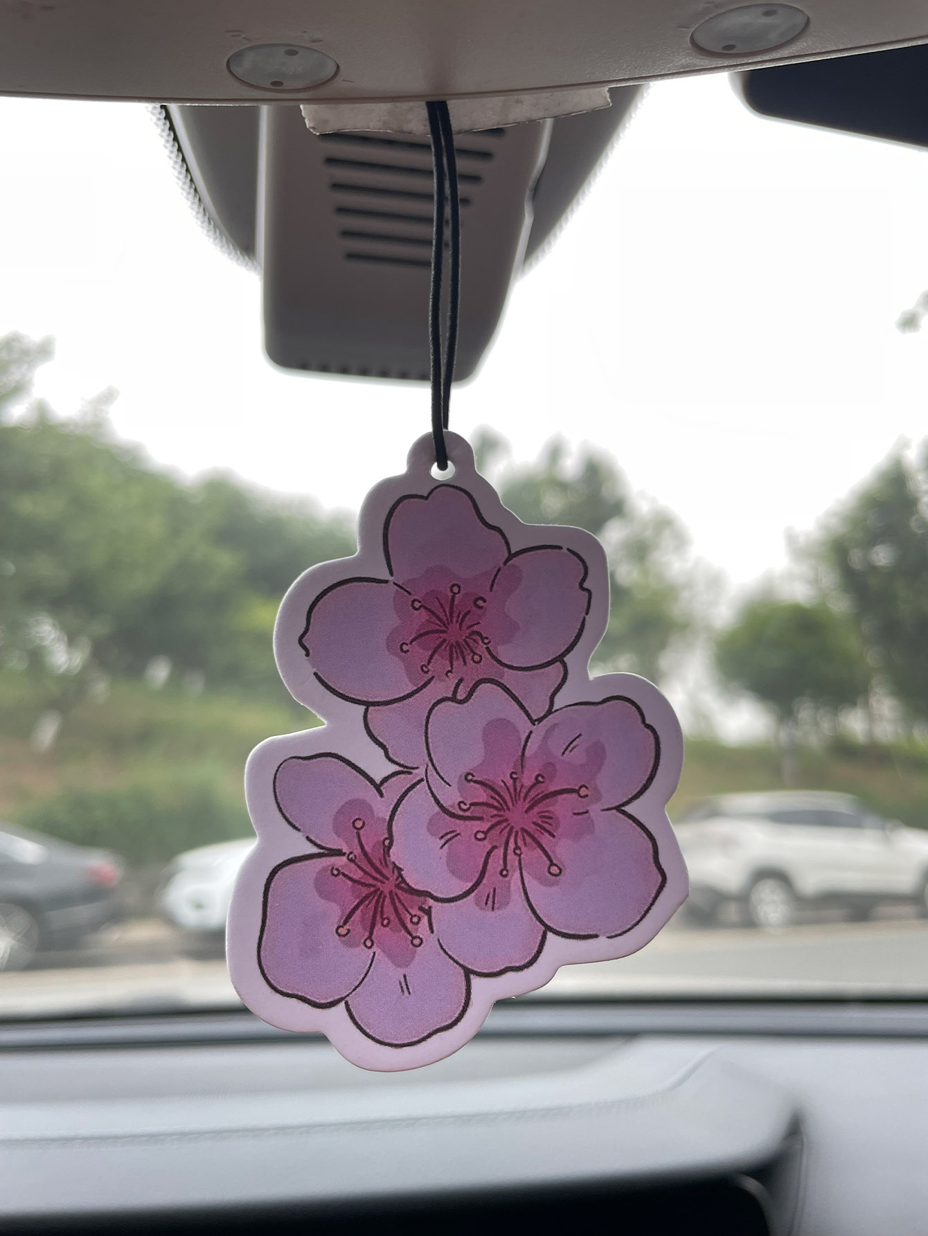 Home Bathroom Vent - Perfume para Auto de Cinco Estrellas