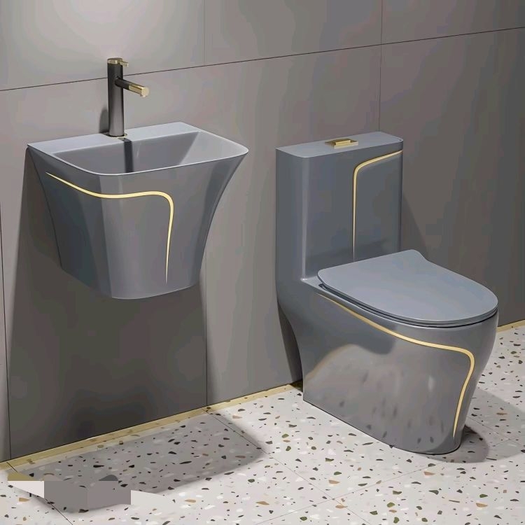 Inodoro Cerámico Moderno de Un - Home One Bathroom Accessories reseña y precio