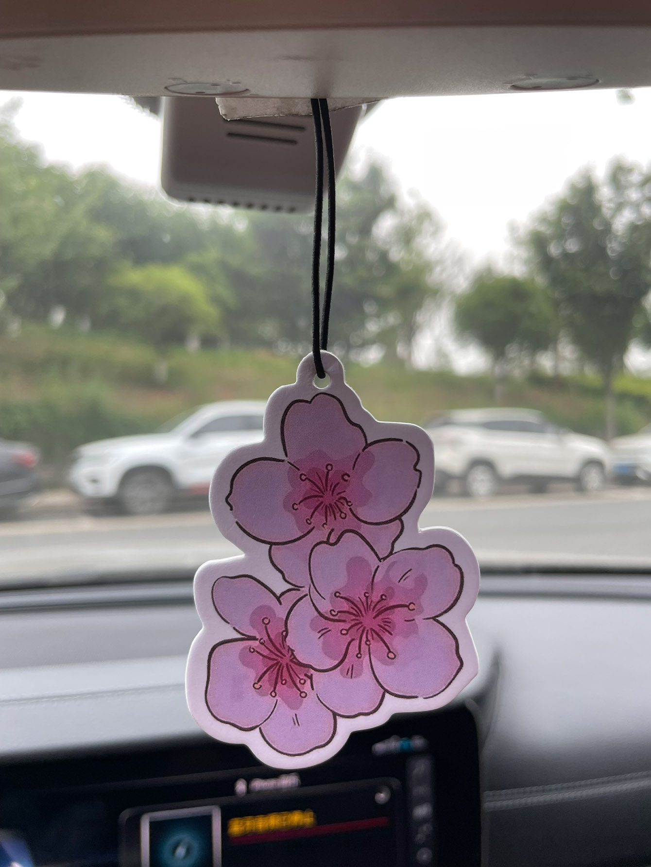 Perfume para Auto de Cinco Est - Home Bathroom Vent reseña y precio